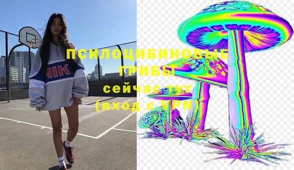 сатива Абаза