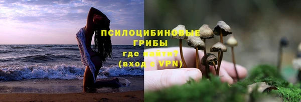 сатива Абаза