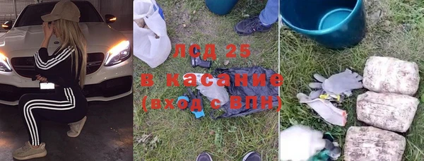 сатива Абаза