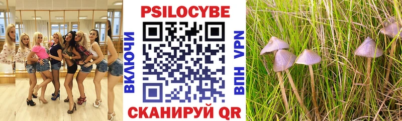Галлюциногенные грибы Cubensis Сергач